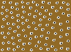 Animal Print