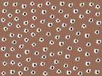 Animal Print